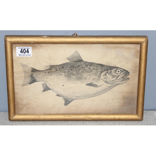 404 - Antique monochrome watercolour of a fish, believed to be a fat Trout, in gilt frame, various annotat... 