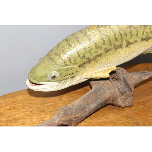 1678 - A vintage taxidermy style model of a Largemouth Bass on wooden display plinth, likely papier mache, ... 