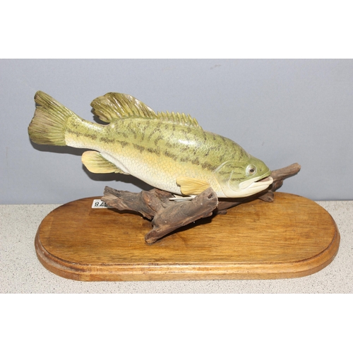 1678 - A vintage taxidermy style model of a Largemouth Bass on wooden display plinth, likely papier mache, ... 