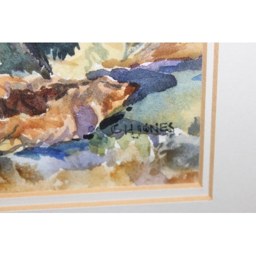 499F - Christine Jones (Local, XX-XXI), watercolour entitled 