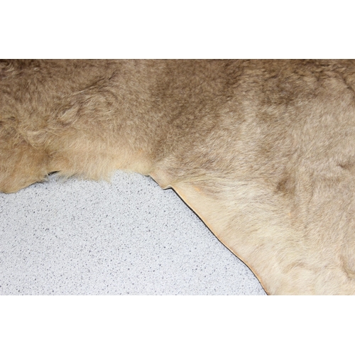 215 - Wallaby hide, approx 100cm x 90cm at widest points