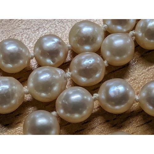 1168 - A vintage pearl necklace with 9ct gold clasp, marked and XRF confirmed, the pearls approx 6mm-7mm in... 