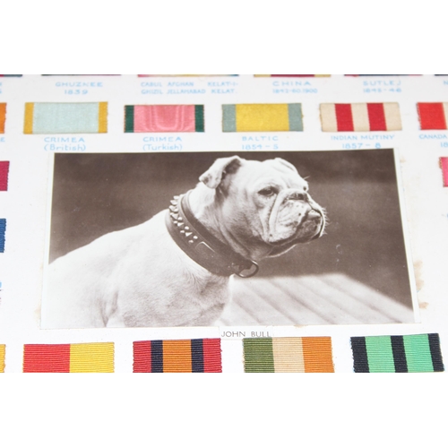 439 - Framed silk print and a display of 'Actual War Medal Ribbons Officially Issued to British Army, 1815... 