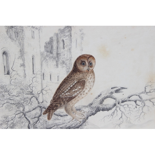 405 - An interesting and superb quality Regency period pencil and watercolour sketch of 2 ducks with reeds... 