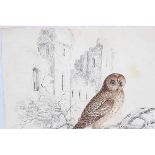 405 - An interesting and superb quality Regency period pencil and watercolour sketch of 2 ducks with reeds... 