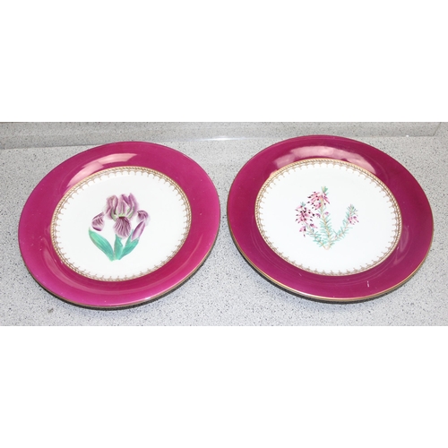 1699J - A set of 6 antique dessert plates decorated with flowers, possibly Rockingham, each approx 24cm in d... 