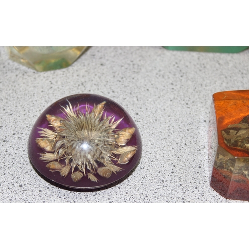 1699S - 5 assorted vintage Lucite paperweights to inc flowers and sea creatures