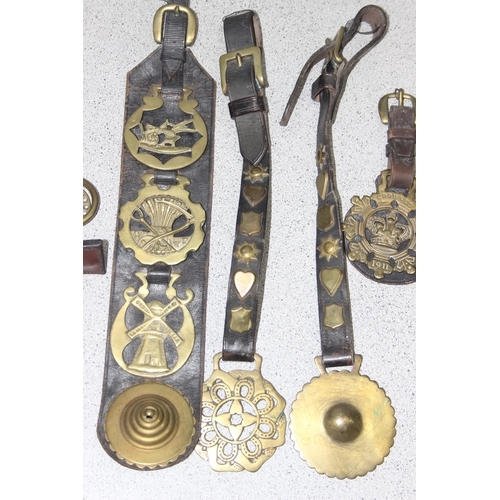 1702 - Qty of assorted antique and later horse brasses, some likely 19th century and with some leather stra... 