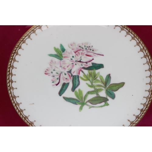 1802 - A set of 6 antique dessert plates decorated with flowers, possibly Rockingham, 3 Louis Aimé Césaire ... 