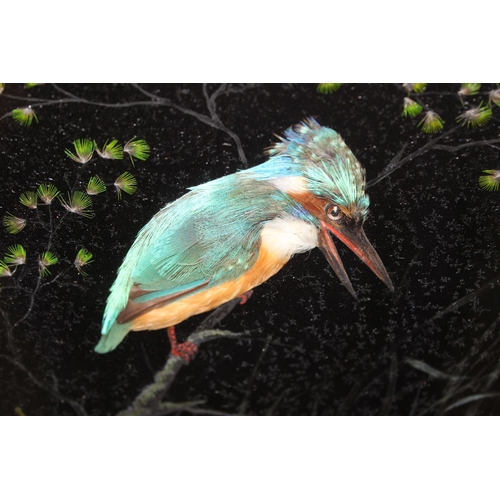 416 - An unusual gilt-framed picture of Kingfishers made from real feathers, approx 56 x 40cm