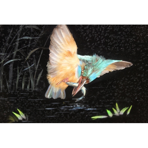 416 - An unusual gilt-framed picture of Kingfishers made from real feathers, approx 56 x 40cm