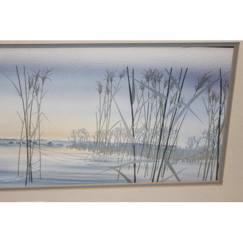 437 - An unusual unsigned watercolour of dragonflies amongst reeds, approx 67cm x 36cm inc frame