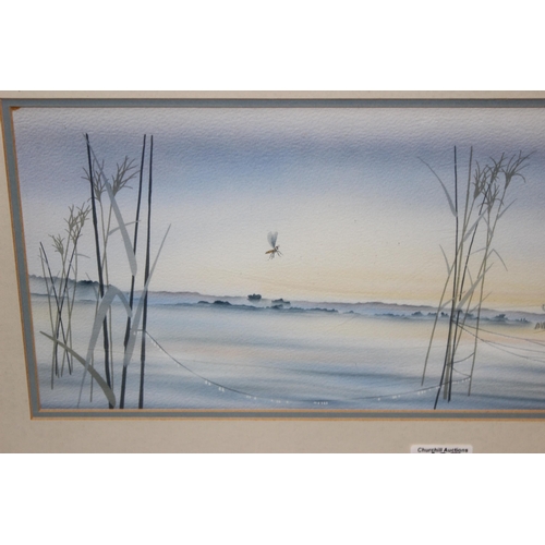 437 - An unusual unsigned watercolour of dragonflies amongst reeds, approx 67cm x 36cm inc frame