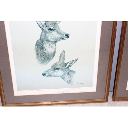 472 - 2 vintage limited edition prints (of 500) depicting deer, after the originals by Brian Rawling, each... 