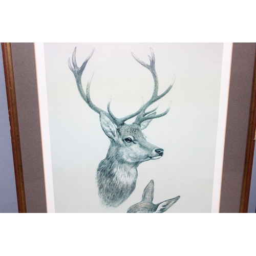 472 - 2 vintage limited edition prints (of 500) depicting deer, after the originals by Brian Rawling, each... 