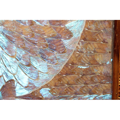 272 - Art Deco period wooden butterfly-wing tray with glazed top and inlaid details, approx 51cm x 35cm