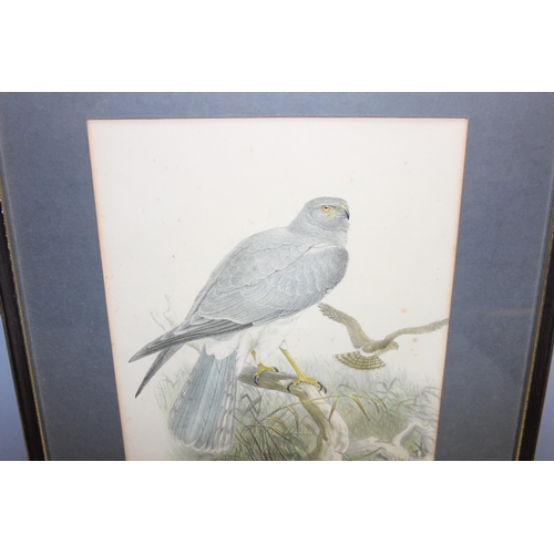 455 - 3 prints in frames of birds, to incl Eagle owl, Henharrier and Toulouse geese, largest approx 44 x 3... 