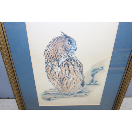 455 - 3 prints in frames of birds, to incl Eagle owl, Henharrier and Toulouse geese, largest approx 44 x 3... 