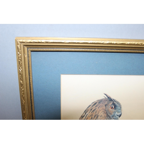 455 - 3 prints in frames of birds, to incl Eagle owl, Henharrier and Toulouse geese, largest approx 44 x 3... 