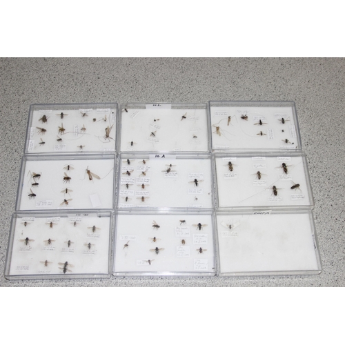 1835 - Qty of various scientific insect samples in clear cases, labelled and displayed, each case approx. 1... 