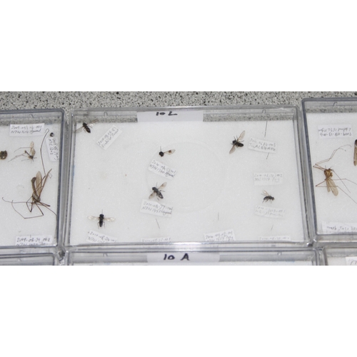 1835 - Qty of various scientific insect samples in clear cases, labelled and displayed, each case approx. 1... 