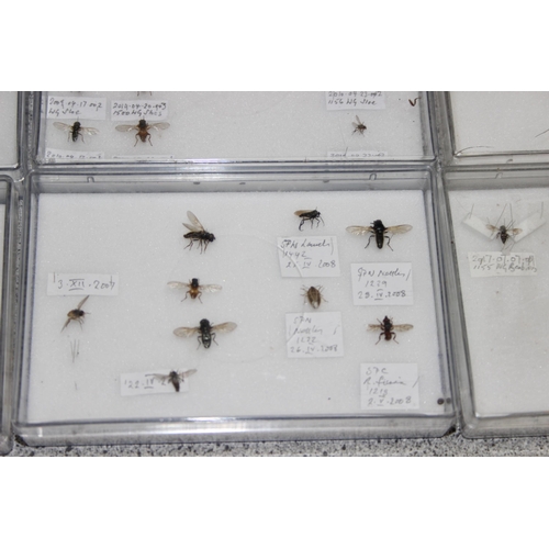 1835 - Qty of various scientific insect samples in clear cases, labelled and displayed, each case approx. 1... 