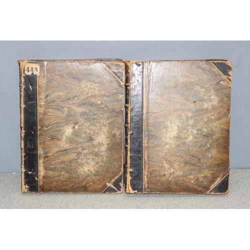 572 - 2 antique half leather bound books entitled 'The National Gallery of Pictures of the Great Masters'