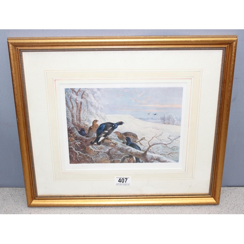 407 - Framed print of Black Grouse after the original by Archibold Thorburn, signed in pencil dated 1934, ... 