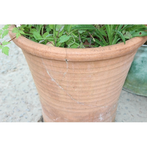 323 - Galvanized metal bath and large terracotta pot, both planted, largest approx 40cm x 40cm