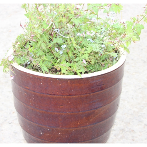 333 - Large brown glazed garden pot with ribbed effect, approx 55cm H x 40cm W