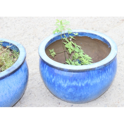 338 - 2 blue drip glazed garden pots, 1 with Buddleia tree, largest approx 52cm W x 25cm H