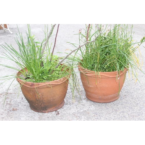 351 - 2 large vintage terracotta pots with wavy design, each approx 53cm W x 35cm H, with plants