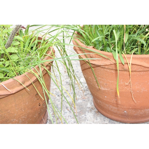 351 - 2 large vintage terracotta pots with wavy design, each approx 53cm W x 35cm H, with plants