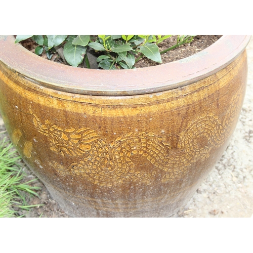 356 - Very large Chinese inspired glazed pot with bay tree, approx 55cm H x 70cm W