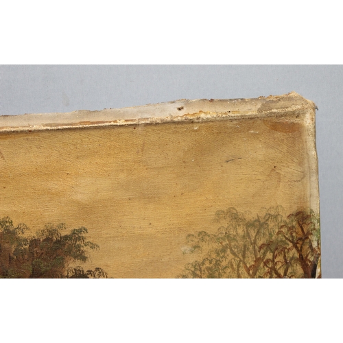 441 - Antique oil on canvas of a landscape scene, signed bottom left G. Cole possibly for George Cole (181... 