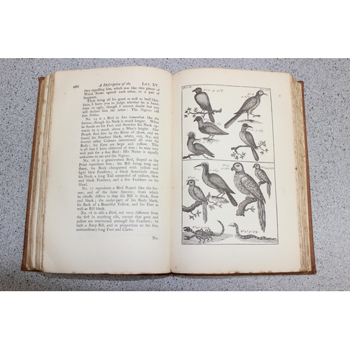 560 - A new and accurate description of the coast of Guinea, divided into the Gold, the Slave, and the Ivo... 