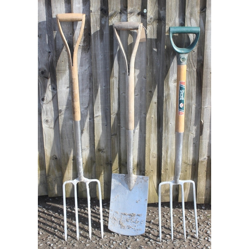 384 - 3 stainless steel garden tools, 2 forks and a spade