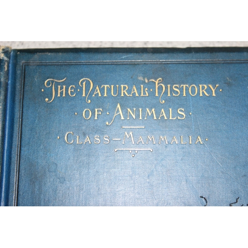 565 - 'The Natural History of Animals', Class-Mammalia, by Carl Vogt & F. Specht, published 1889 Blackie &... 