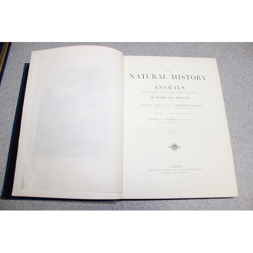 565 - 'The Natural History of Animals', Class-Mammalia, by Carl Vogt & F. Specht, published 1889 Blackie &... 