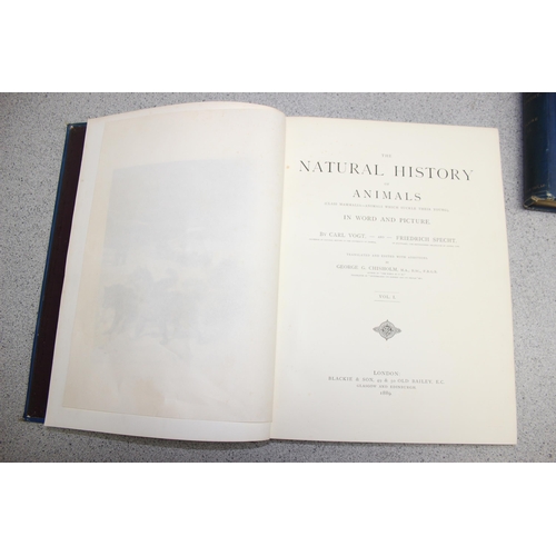 565 - 'The Natural History of Animals', Class-Mammalia, by Carl Vogt & F. Specht, published 1889 Blackie &... 