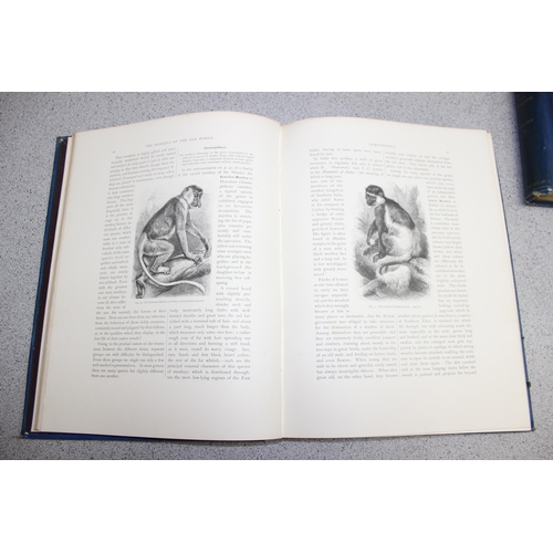 565 - 'The Natural History of Animals', Class-Mammalia, by Carl Vogt & F. Specht, published 1889 Blackie &... 