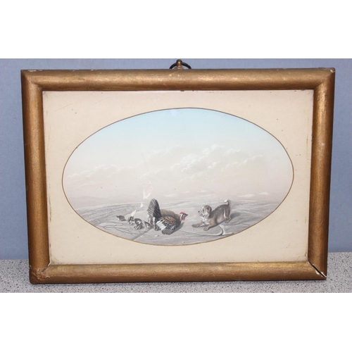 405A - A superb quality 19th century gouache watercolour and pencil drawing of a dog and a chicken with chi... 