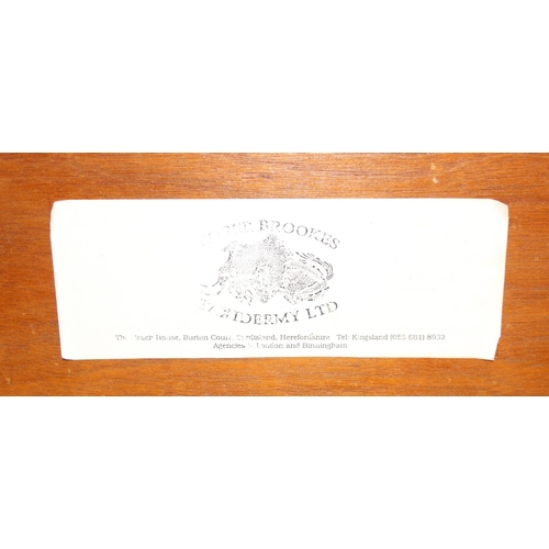 1504 - A glazed bow fronted Taxidermy case of a Common Carp among aquatic vegetation bearing label by Roger... 