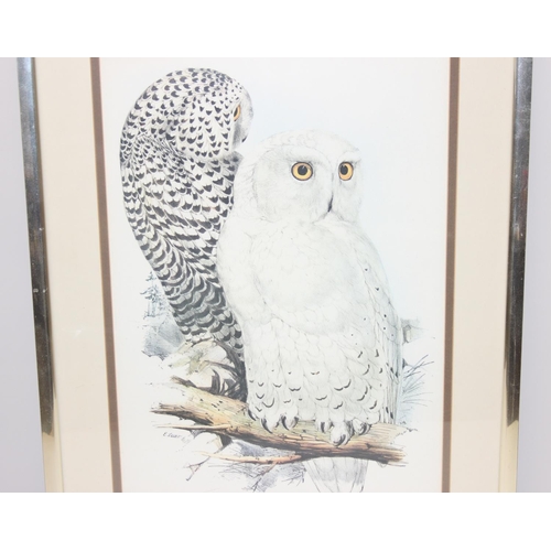 412 - 2 large vintage prints of owls to incl a signed print by Lee Cable and another of a Snowy Owl by Edw... 