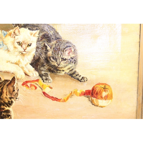 469 - A vintage oil on canvas of cats playing with an apple, unsigned but various annotations verso, appro... 