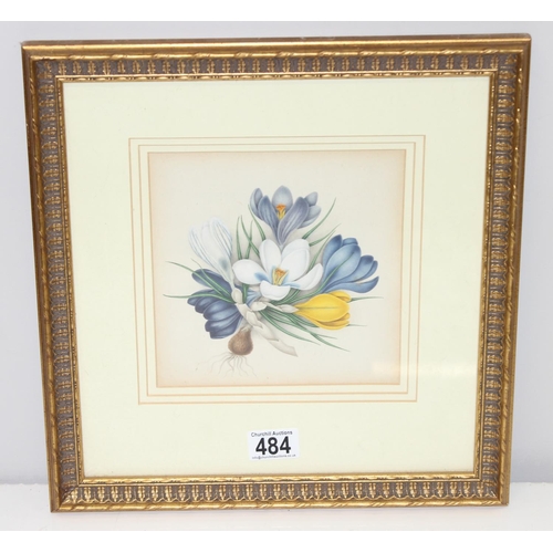 484 - A high quality antique botanical watercolour of crocuses, unsigned, in impressive gilt frame, approx... 