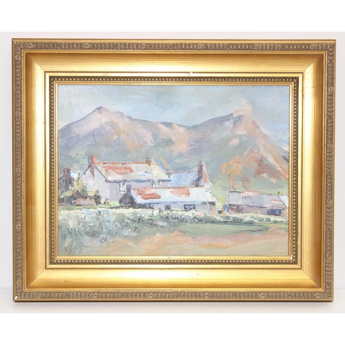 490 - 20th century oil on board of rural farm buildings, seemingly unsigned, approx 43cm x 36cm inc frame