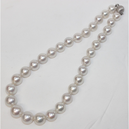 1141 - An impressive Wai Kee cultured pearl and 18ct white gold necklace, consisting of 31 graduated cultur... 