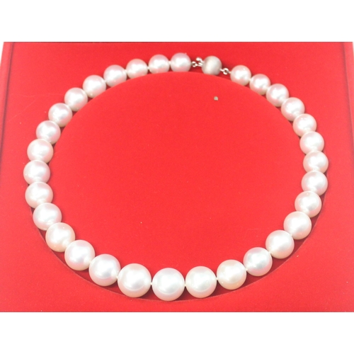 1141 - An impressive Wai Kee cultured pearl and 18ct white gold necklace, consisting of 31 graduated cultur... 