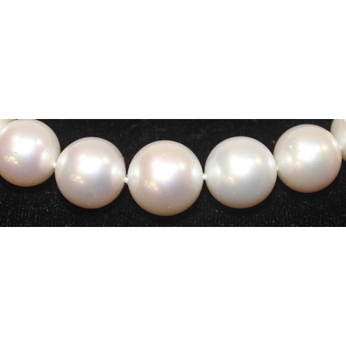 1141 - An impressive Wai Kee cultured pearl and 18ct white gold necklace, consisting of 31 graduated cultur... 